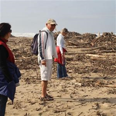 Flood debris too expensive to clear