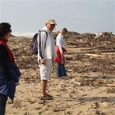 Flood debris too expensive to clear