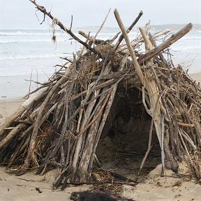 Houtkastele op Stilbaai se strande