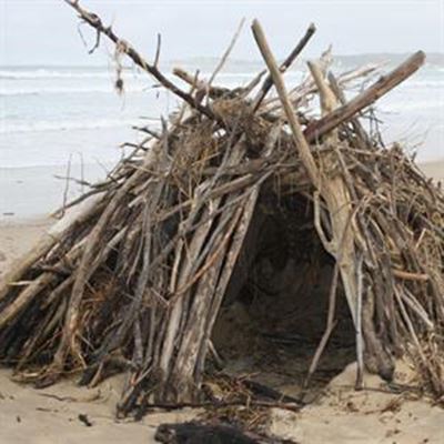 Houtkastele op Stilbaai se strande