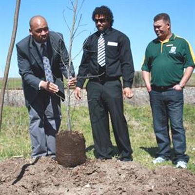 100 trees for Hope Street
