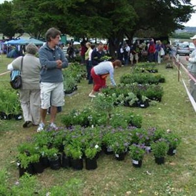 Start getting ready for Leisure Isle Festival