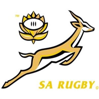 Fans flock to see Springboks