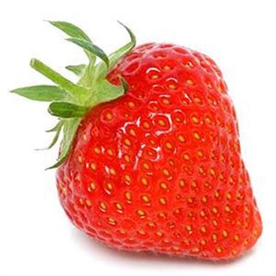 Trail run treasure hunt at Strawberry Festival