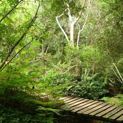 Naturally Knysna celebrated at Pledge