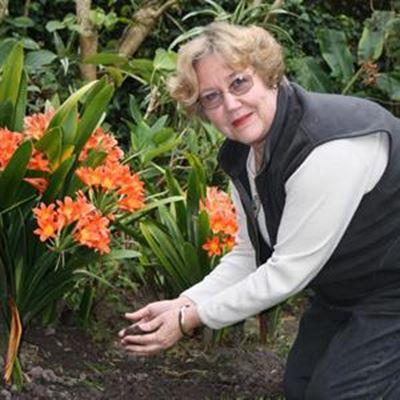 Kry jou tuin gereed vir Somer