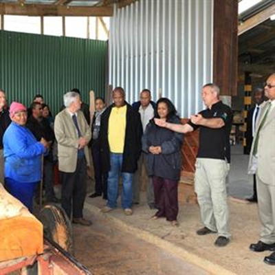 Eco furniture factory opens  in forest at Wilderness 
