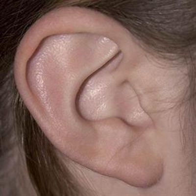 Participation and  collaboration for the deaf