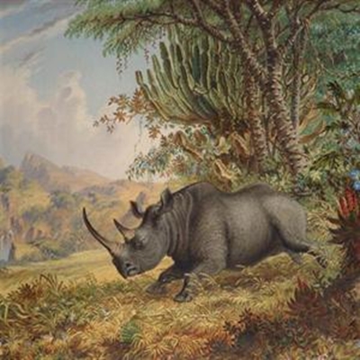 Sanlam exhibition