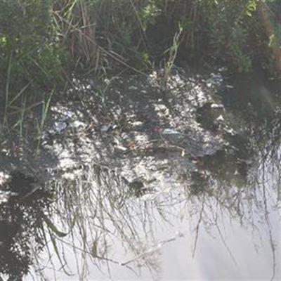 Sewage still runs into lagoon