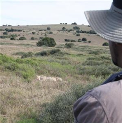 Shamwari Game Reserve: Oh baby, baby it’s a wild world