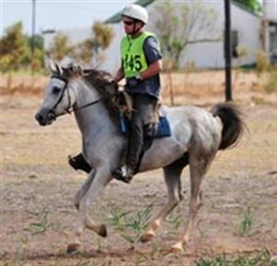 Voorste ruiters in aksie in Klein-Karoo