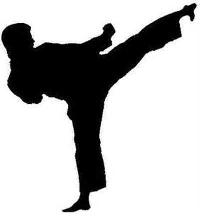 Fast & exciting karate at Sports Festival