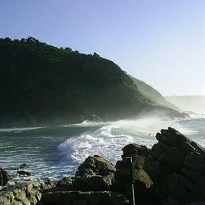 Surfing in memory of John Pfaff