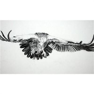 Online auction for the birds (sketches)
