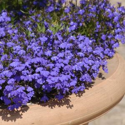 Perfect for patios