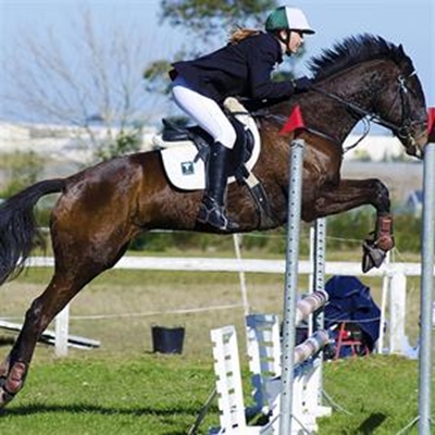 SANESA Western Cape regional finals