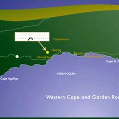 Gondwana home to wandering hippo