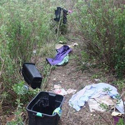 Homeless: Where does the solution lie?
