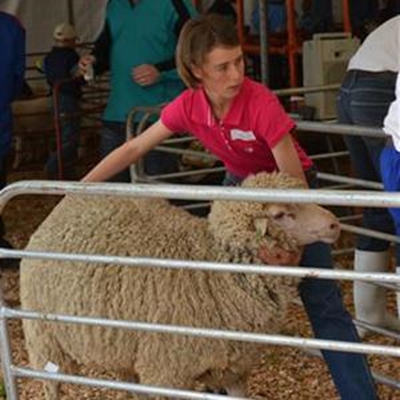 Agri Herold Landboufees reuse sukses