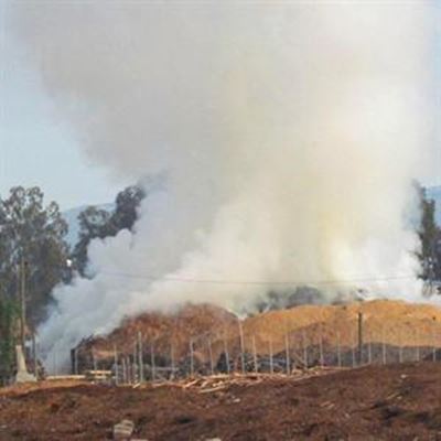 Brand gelukkig vinnig geblus