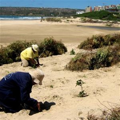 Community projects nominated for awards