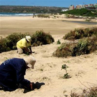 Community projects nominated for awards