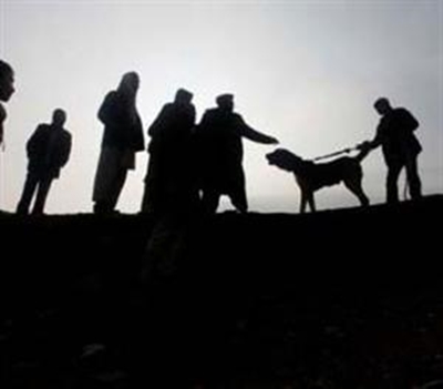 Dog snatchings on the increase in George