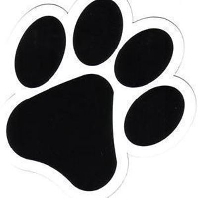 Movie premiere for PAWS