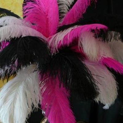 Inskrywings oop vir ontwerperskompetisie