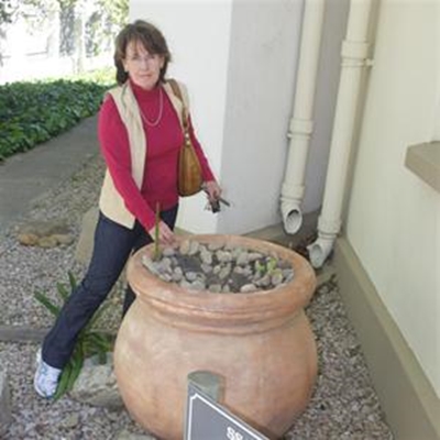 Update: Thieves steal church's plants