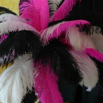 Inskrywings oop vir ontwerperskompetisie