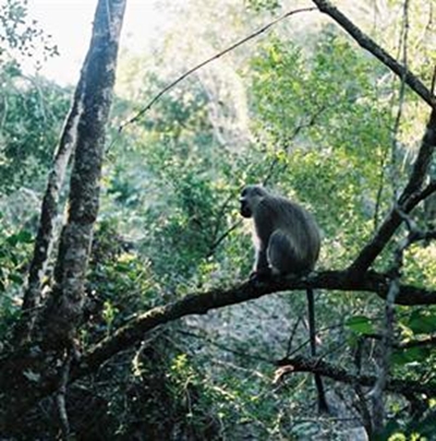 Phantom Forest Eco Reserve wins award