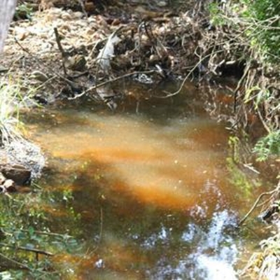 Public meeting about Knysna Lagoon
