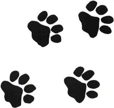 Upcoming events with PAWS