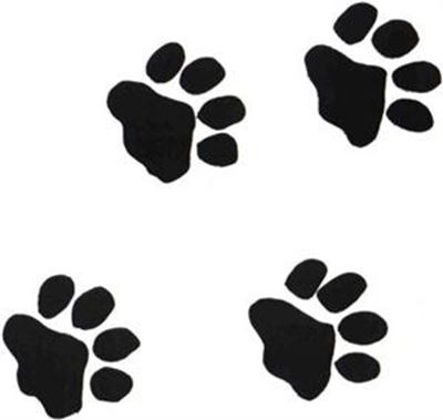 Upcoming events with PAWS