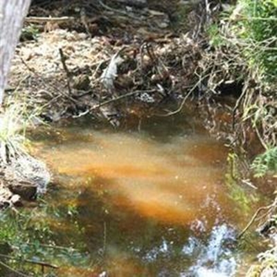 Public meeting tomorrow: Knysna Lagoon