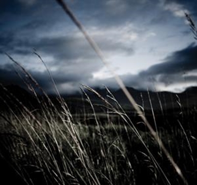 Photographic artwork on display