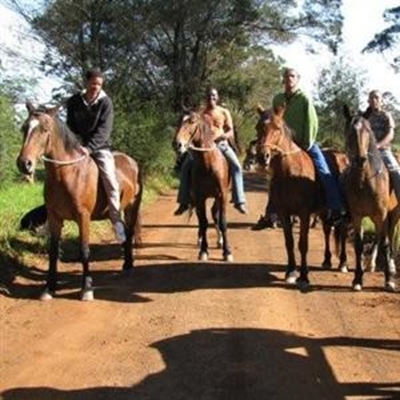 Fundraiser for Bitou Horse Welfare