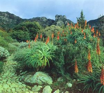 Garden Route officially a must-see