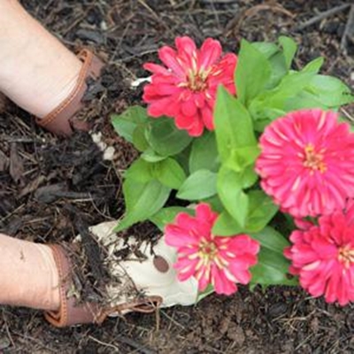 Knysna Garden Club meeting
