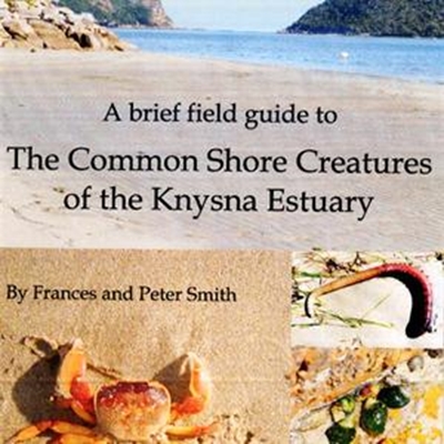 Explore our shores