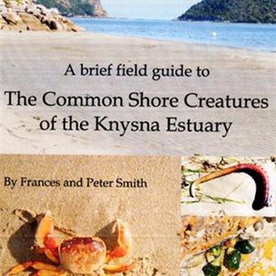 Explore our shores