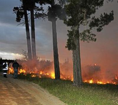 Controlled fire at Garden Route Dam