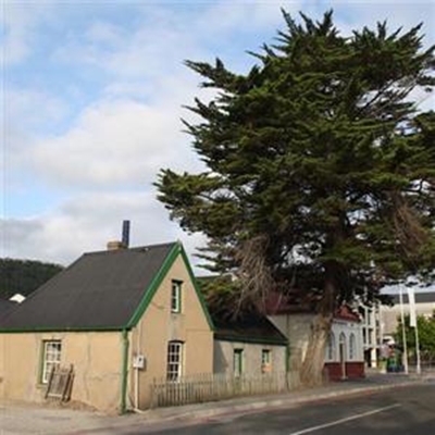  The matter of a house and a tree