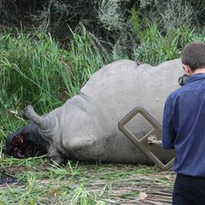 R100 000-beloning:inligting oor renoster