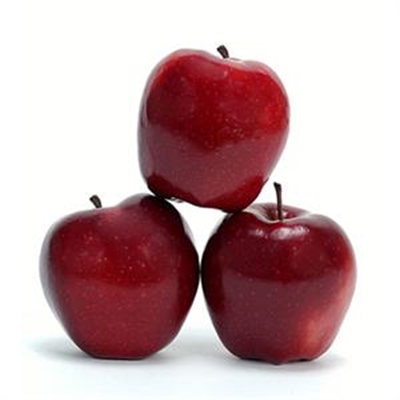 Healthy back to school meals
