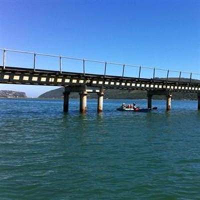 Efforts to address lagoon pollution