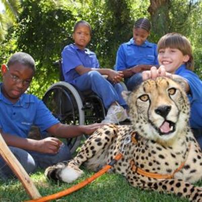 Super-athletes poised to compete in 10th wheelchair race