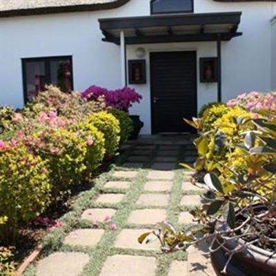 Create shady areas in your garden